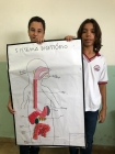 Centro Educacional Esplanada - Campo Grande - Zona Oeste - RJ - Sistema Cardiovascular e Sistema Digestório em 3D -801 e 803 - código foto:  8975