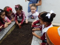 Centro Educacional Esplanada - Campo Grande - Zona Oeste - RJ - EDUCAÇÃO INFANTIL - GUARDIÕES DO CANTEIRO - código foto:  9223